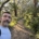 Artarmon Reserve for Parkrun 5km run
