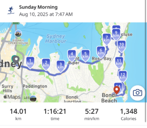 City2Surf race stats